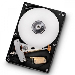 Hitachi HARD DISK 1 TB SERIAL ATA (HDS721010DLE630)